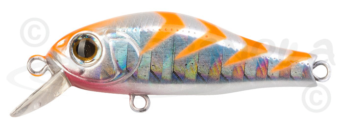 Воблеры ZipBaits - Rigge 35: описание, цена, оптовые продажи